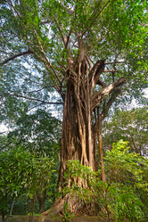 Similar image 5579614