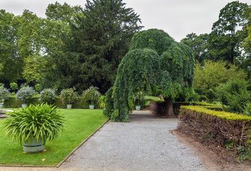 Similar image 5579660