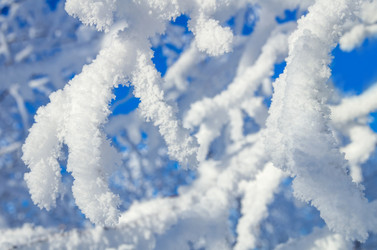 Similar image 5579667