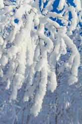 Similar image 5579668