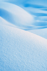 Similar image 5579669