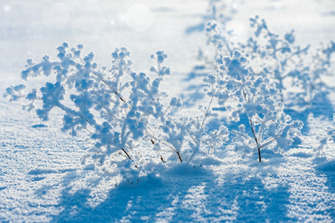 Similar image 5579671