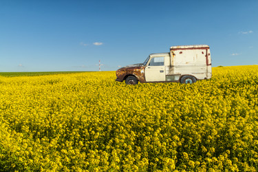 Similar image 5579676