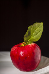 Similar image 5579678