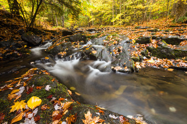 Similar image 5579756