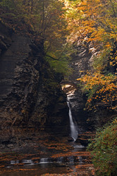 Similar image 5579759