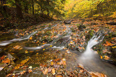 Similar image 5579763