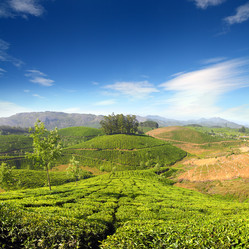 Similar image 5579784