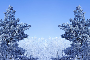 Similar image 5579856