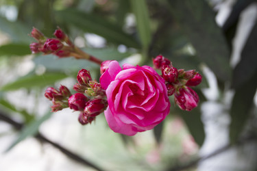 Similar image 5579868