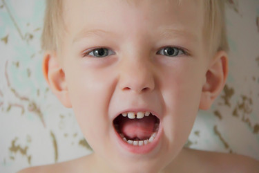 Similar image 5579898