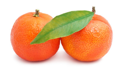 Similar image 5579903