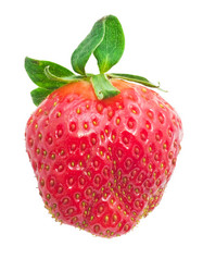 Similar image 5579906