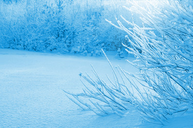 Similar image 5579953