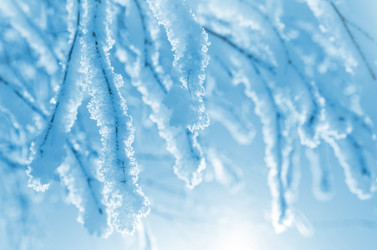 Similar image 5579954