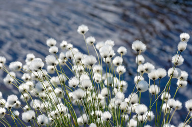 Similar image 5579955