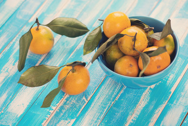 Similar image 5579962