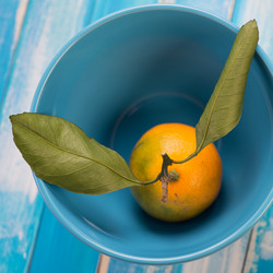 Similar image 5579963