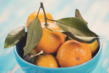 Similar image 5579965