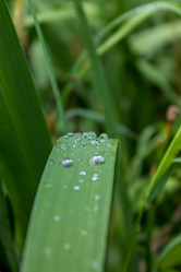 Similar image 5579975