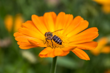 Similar image 5579976