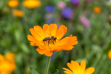 Similar image 5579977