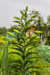 Similar image 5579978