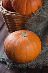 Similar image 5579985