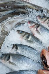 Similar image 5579987