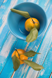 Similar image 5579994