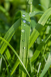 Similar image 5579995