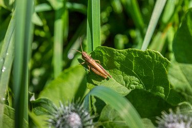 Similar image 5579996