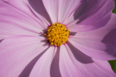 Similar image 5579998