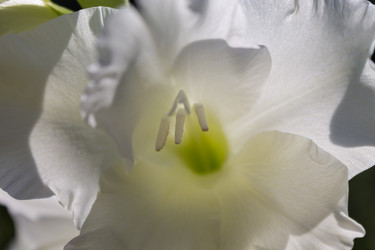 Similar image 5580000