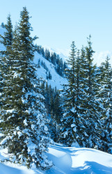 Similar image 5580018