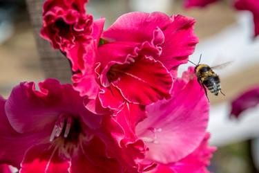 Similar image 5580033