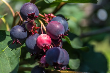 Similar image 5580140