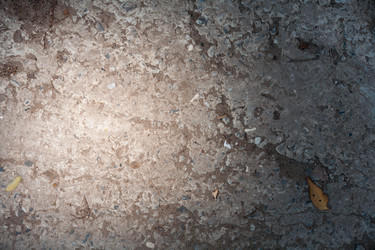 Similar image 5580246