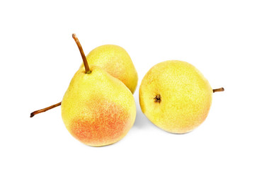 Similar image 5580431