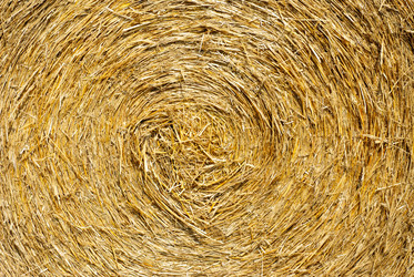 Similar image 5580444