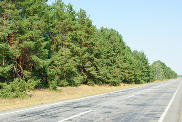 Similar image 5580470