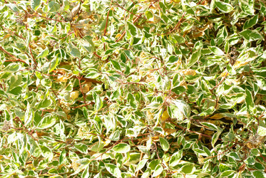 Similar image 5580472