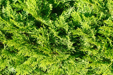 Similar image 5580478