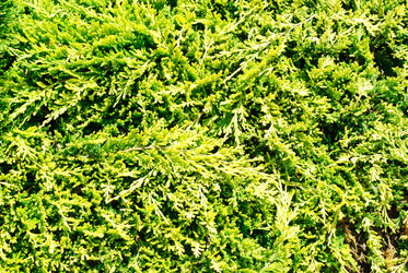 Similar image 5580481