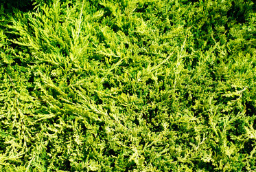 Similar image 5580489