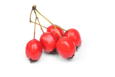 Similar image 5580490