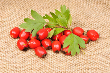 Similar image 5580496