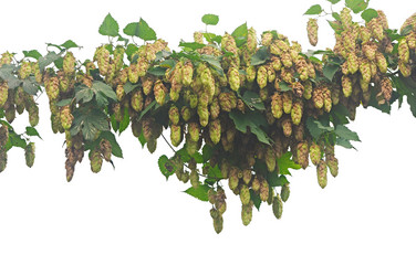 Similar image 5580501