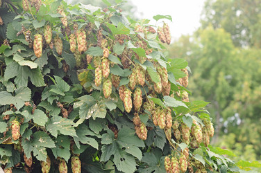 Similar image 5580502