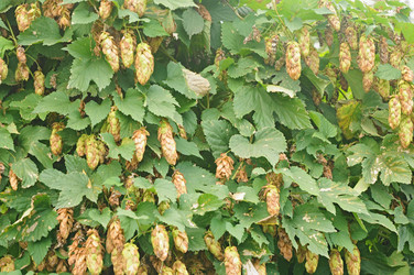 Similar image 5580503